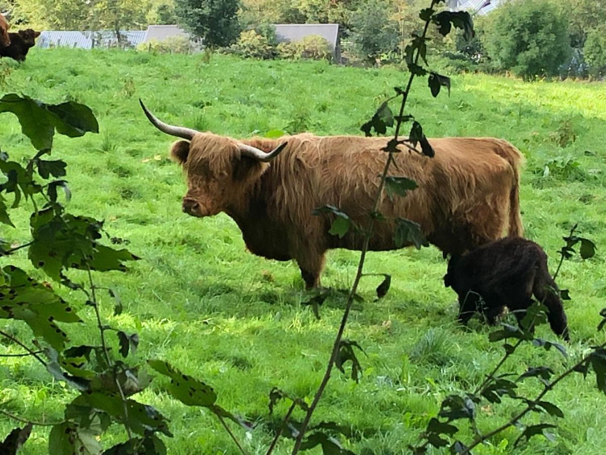 Schoene Aussicht Sauerland By Koelbel Familienurlaub Mit Hund Шмаленберг Екстериор снимка